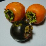 黒い柿